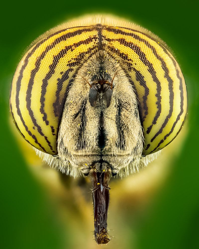 Photograph by Souvik Bhattacharyya