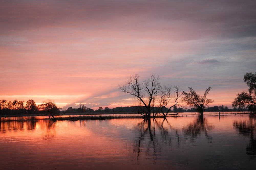 Photograph by  MiroM