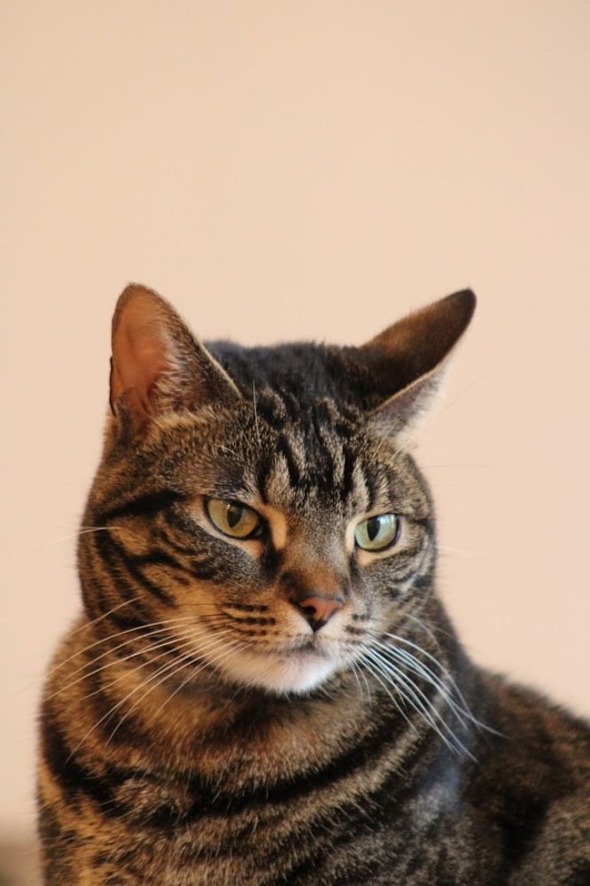 Photograph by Толкун Асаналы