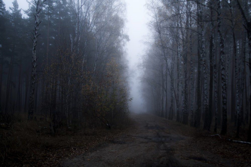 Photograph by Никита Михайлов