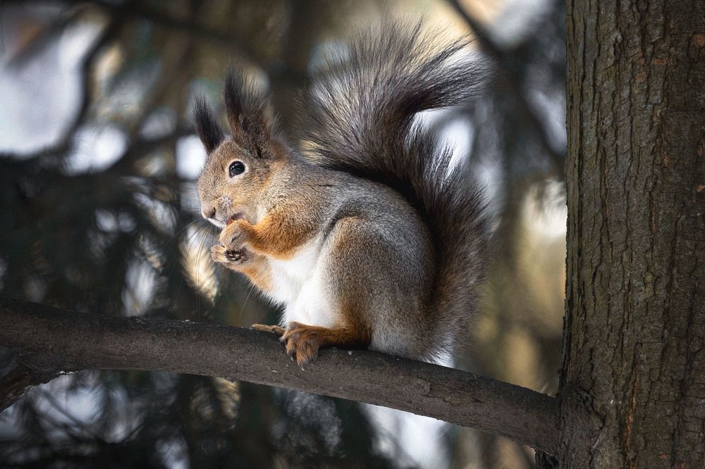 ...аппетит есть...