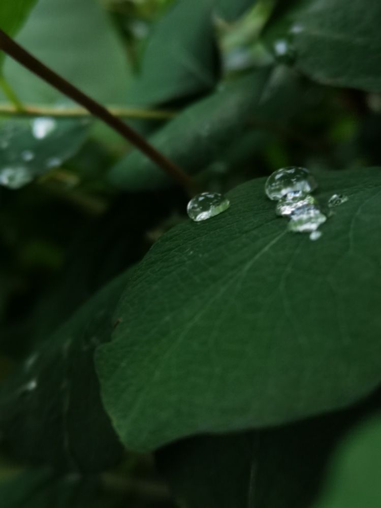 Photograph by Валентина Асотикова