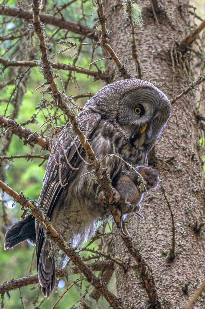 Photograph by Павел Невенчаный