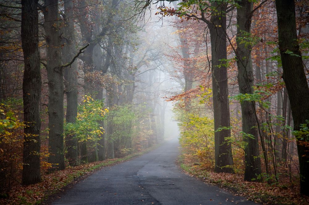 Photograph by  MiroM