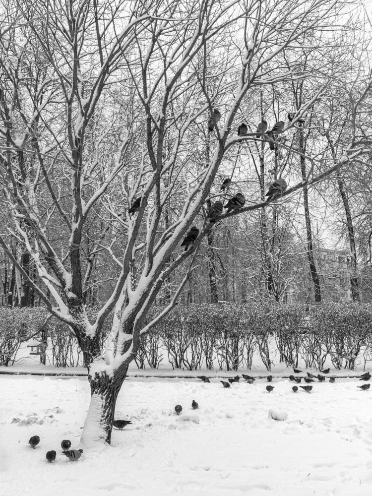 Photograph by Евгений Поляков