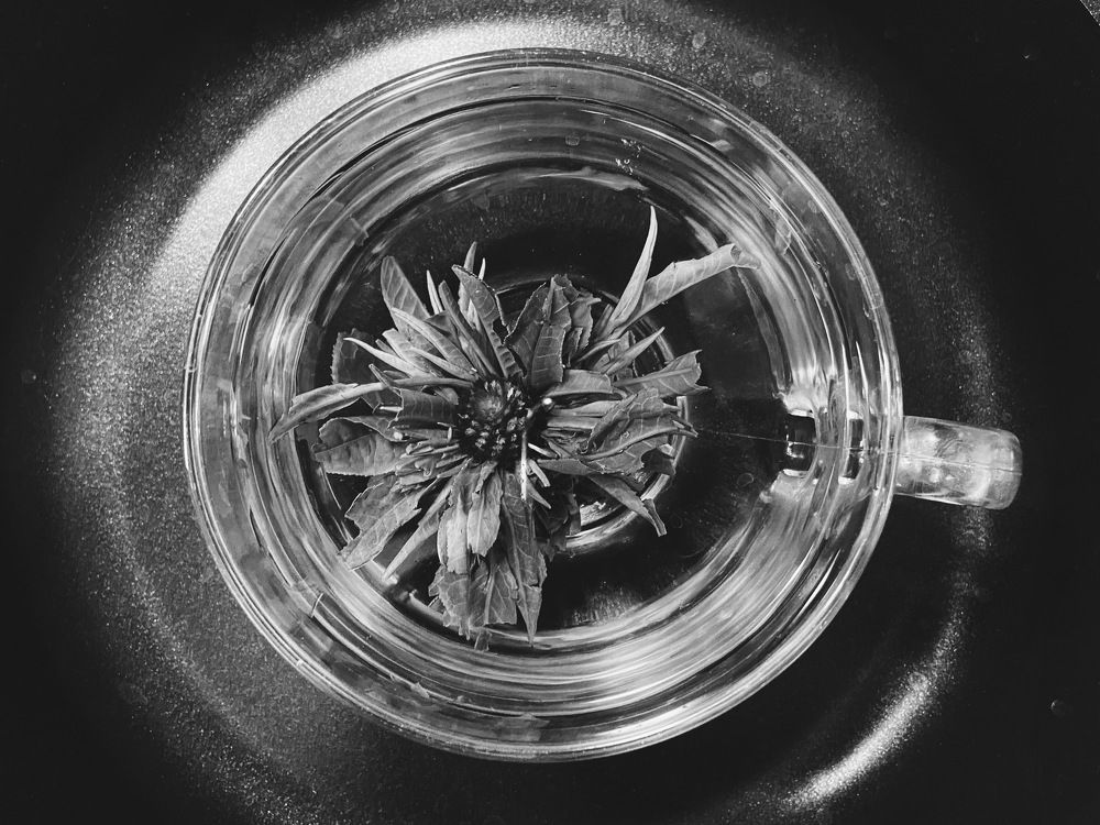 Photograph by Александра Ковалёва