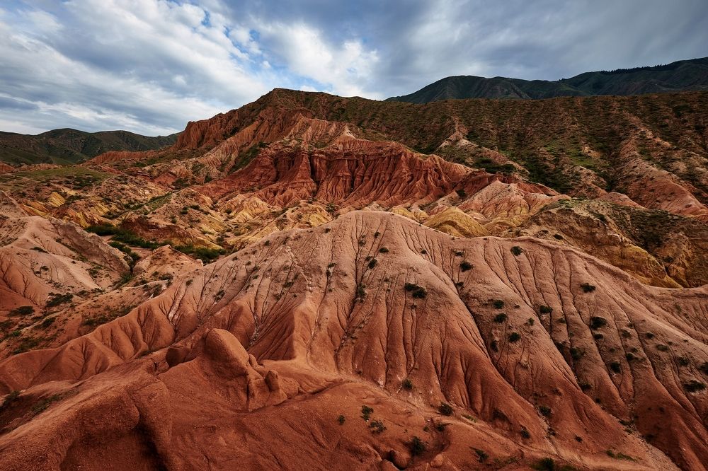 Photograph by Леонид Петруша