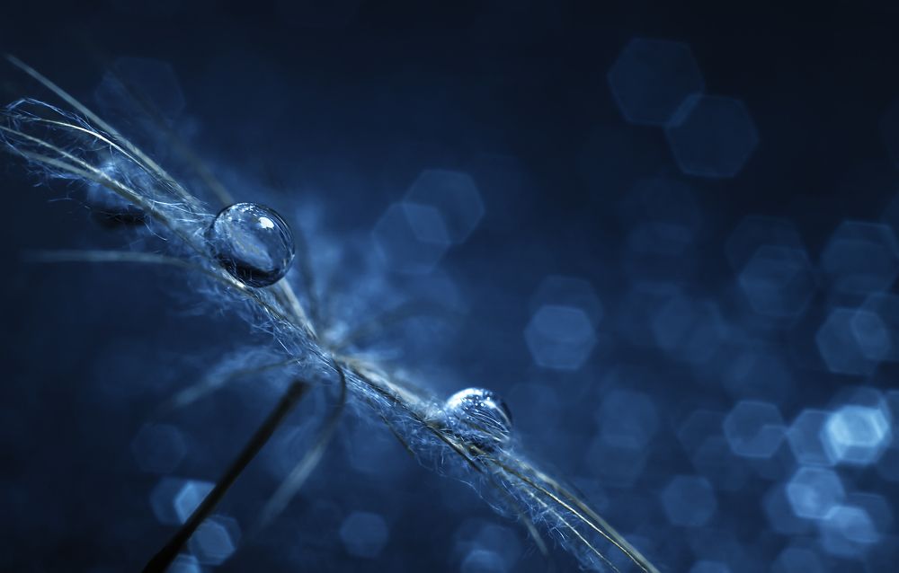 Photograph by Виктория Шаманова