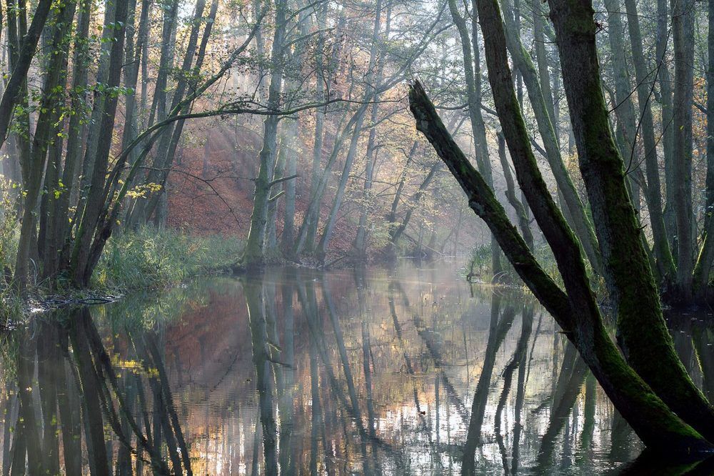 Photograph by  MiroM