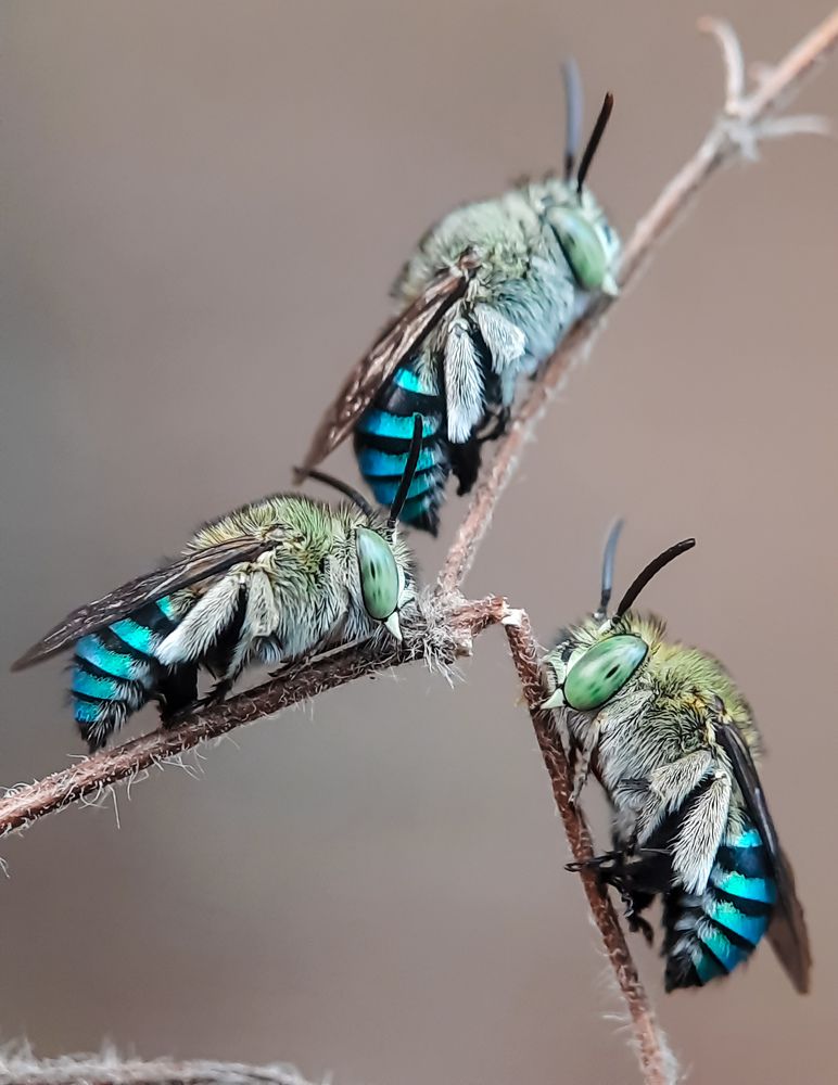 Photograph by Tikeswar Gahir