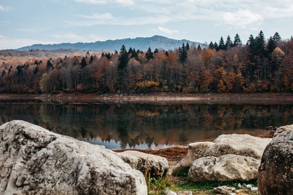 Photograph by Лариса Шацких