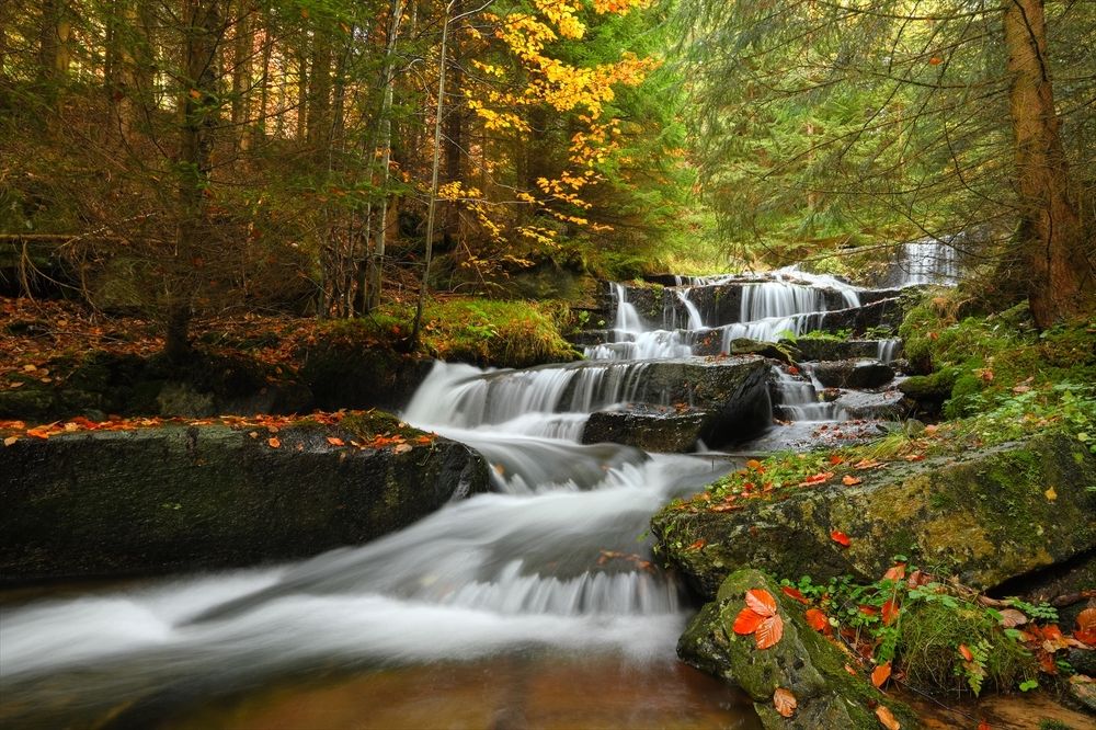 Photograph by Andrea Šrotová
