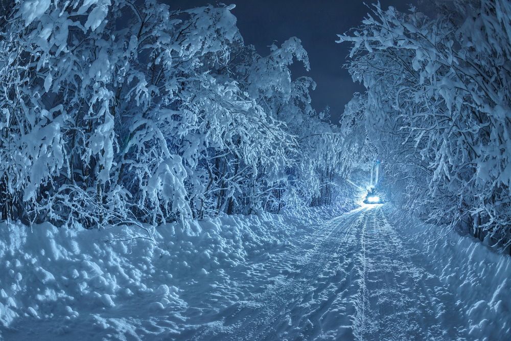 В свете фар.