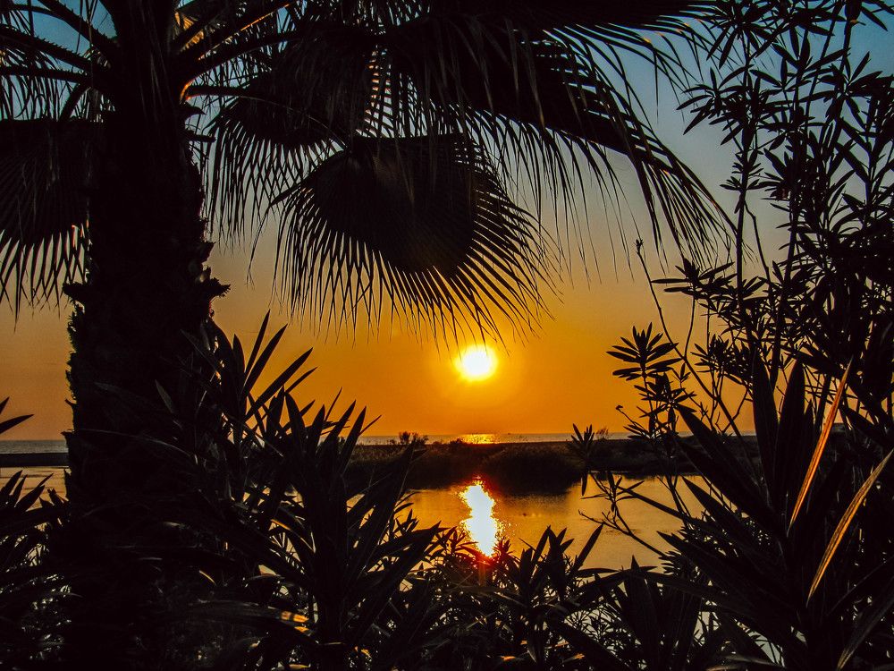 Photograph by Виктория Писаренко