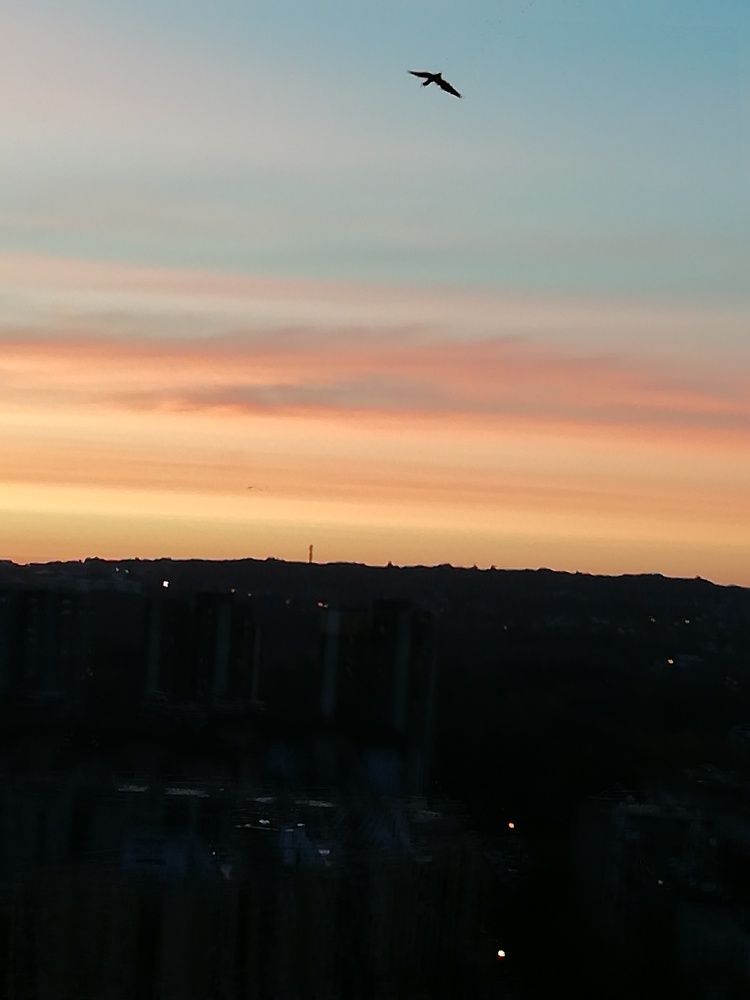 Photograph by Sanja Dabić