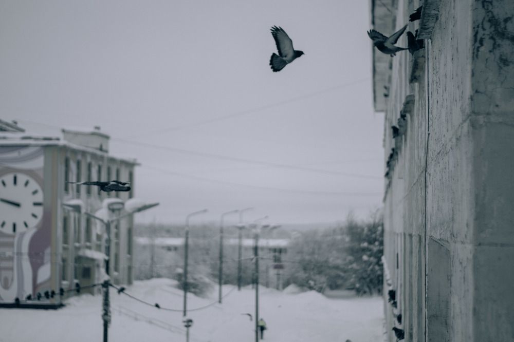 Жители севера