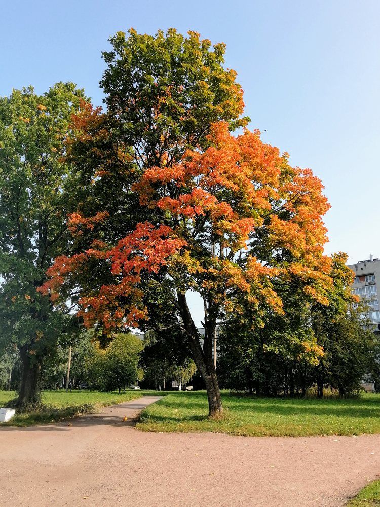 Photograph by Светлана Кепман