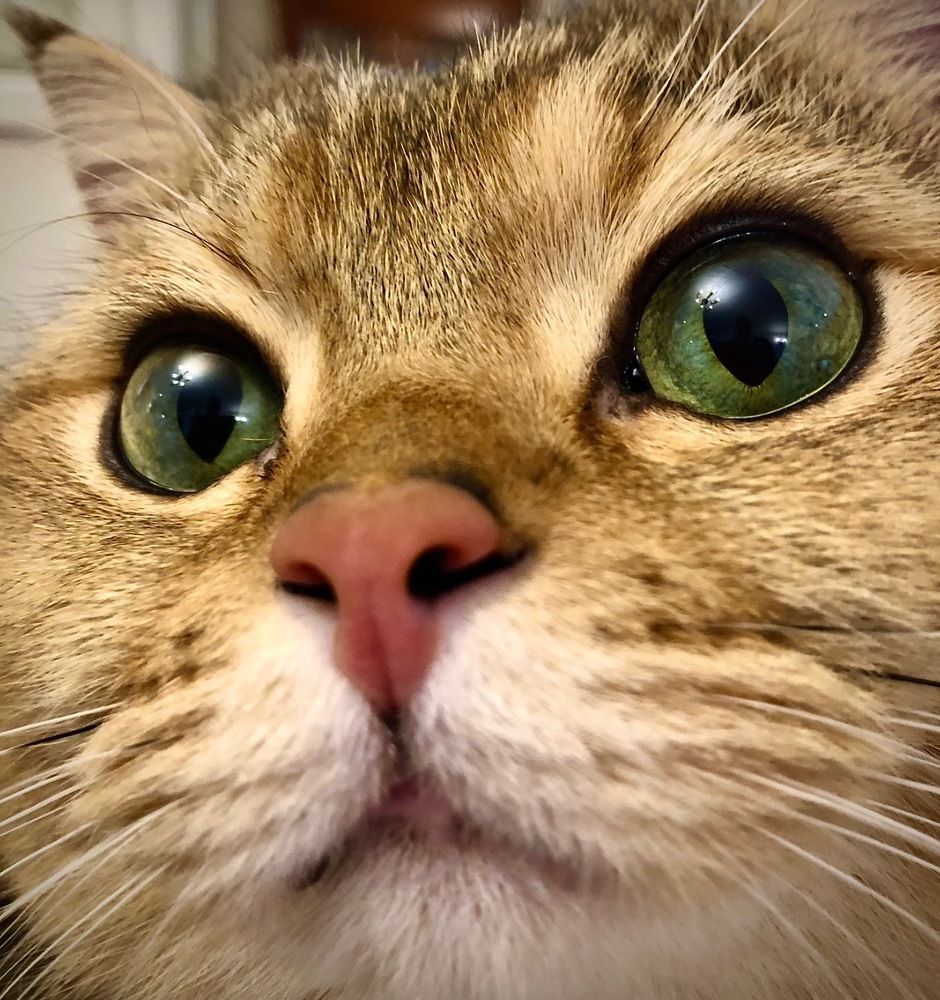 Photograph by Наталья Гладкая