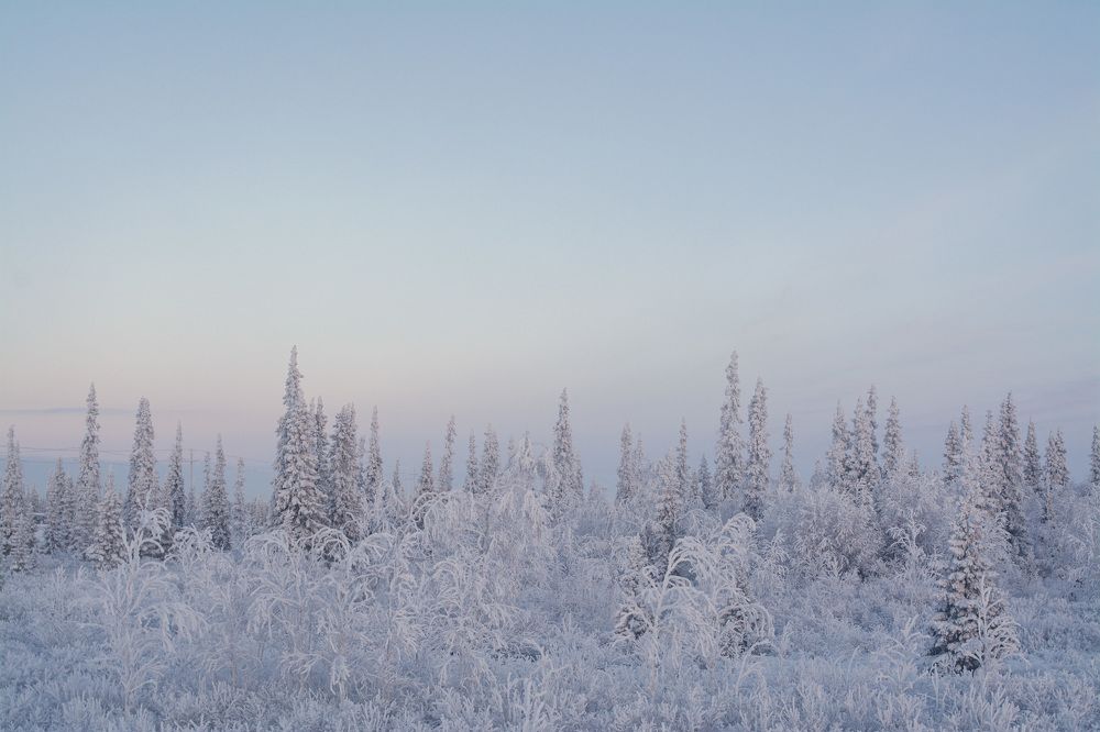 Photograph by Сергей Шмелев