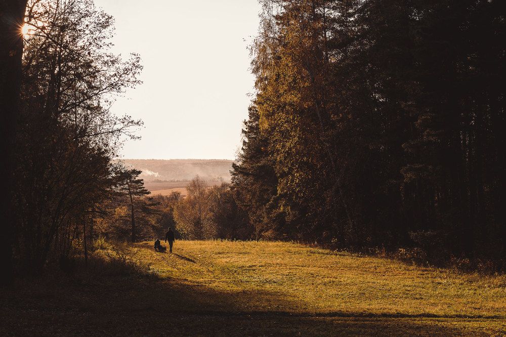 Photograph by Богдан Сусакин