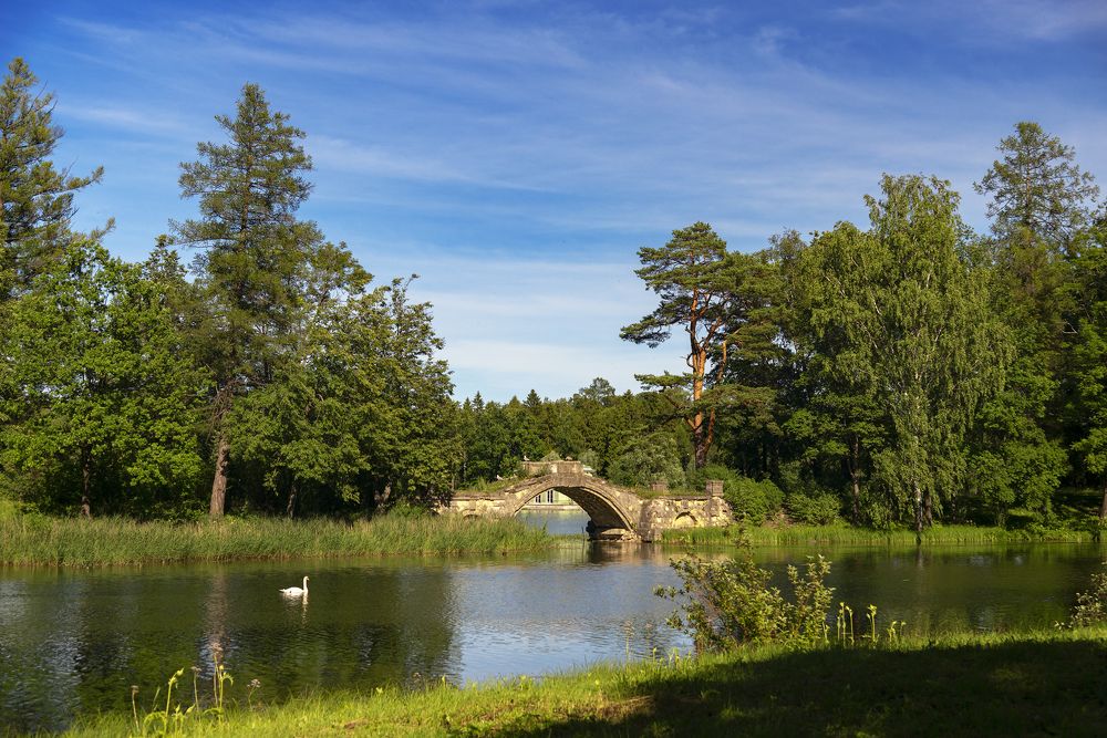 Горбатый мост