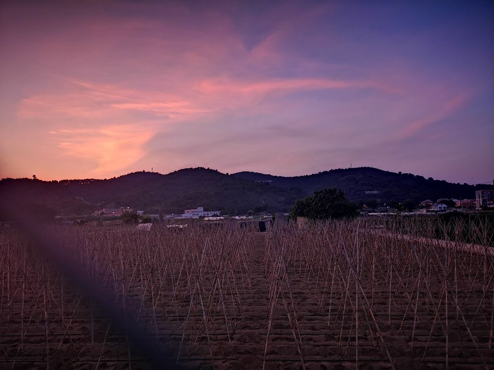 Photograph by Валентина Асотикова