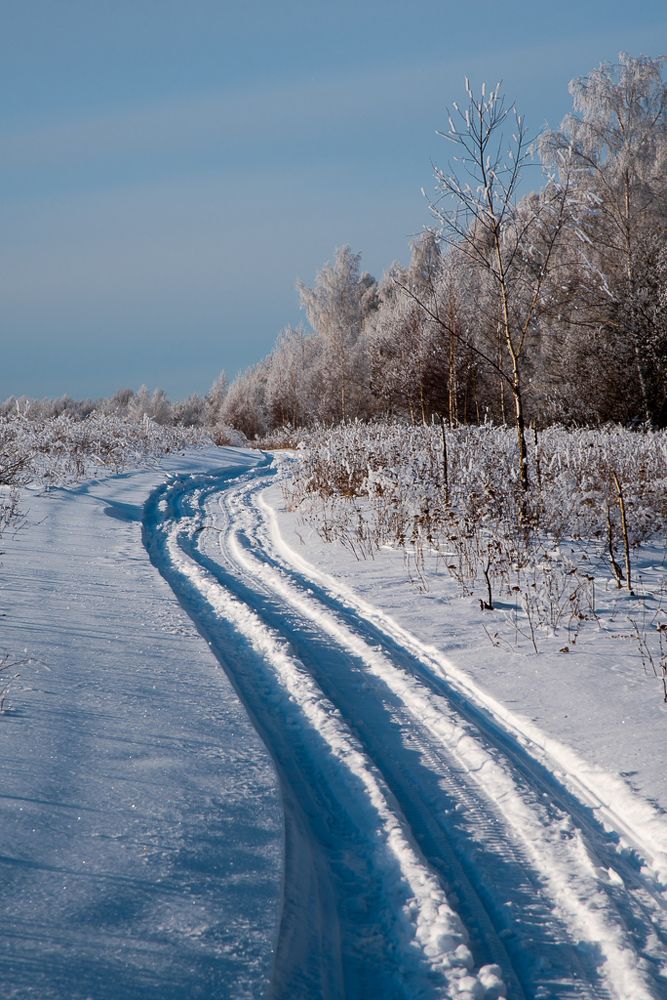 Санный путь