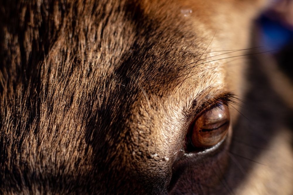 Photograph by Анастасия Демьянова