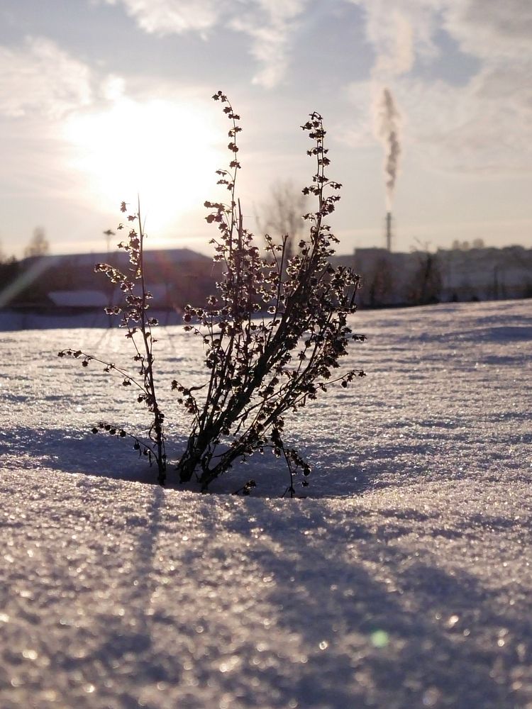 Photograph by Александра Лукашевич