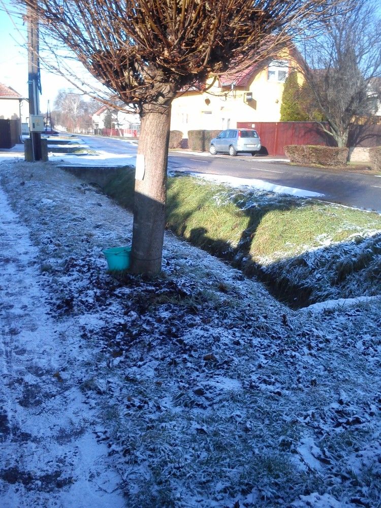 Photograph by eszter bodnár