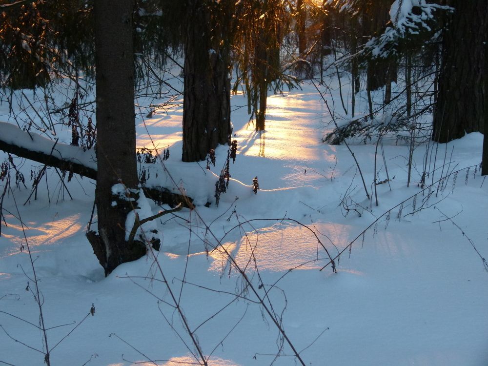 Photo #5832631
