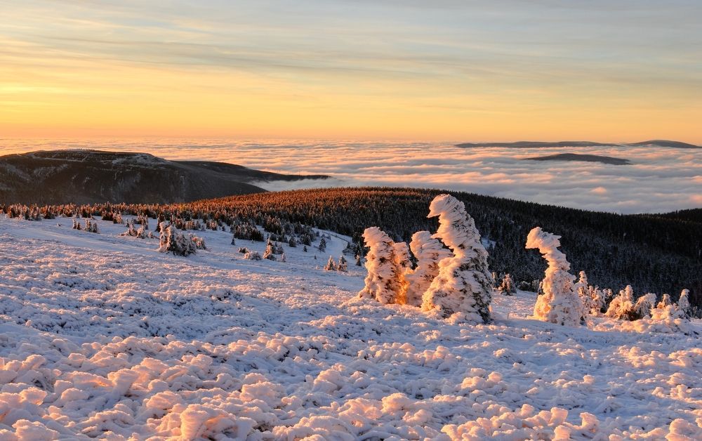 Photograph by Andrea Šrotová