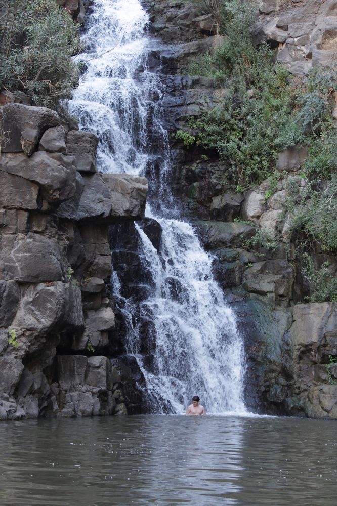 Фотография автора ADLER GOLDFARB