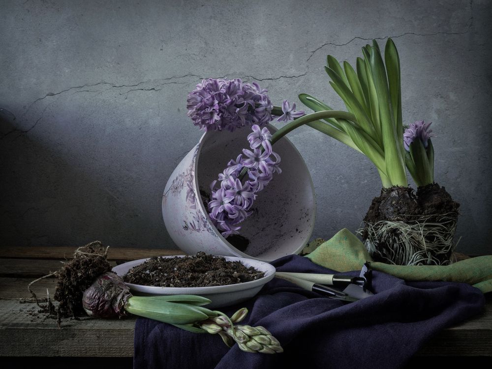 The spring is coming.