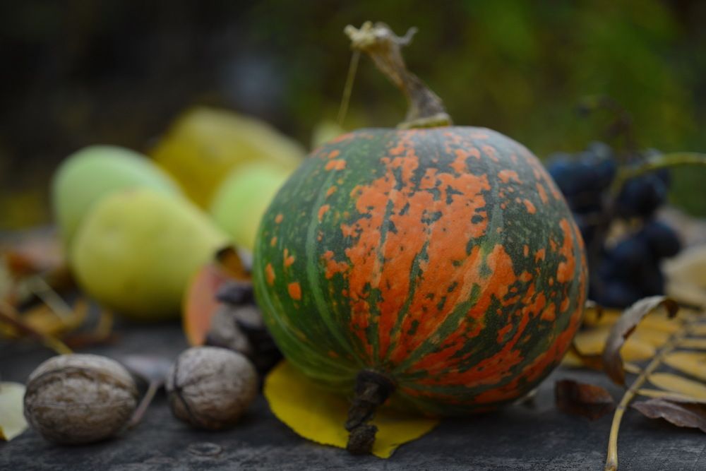 Фотография автора Медведев Сергей