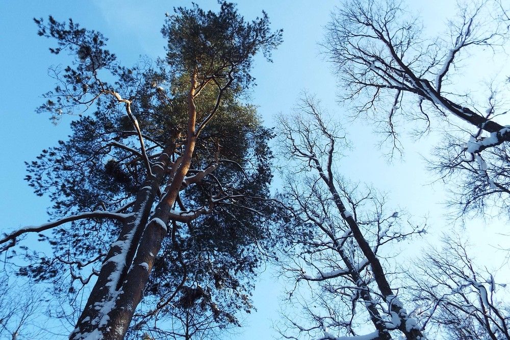 Photograph by Ирина Кузьмина