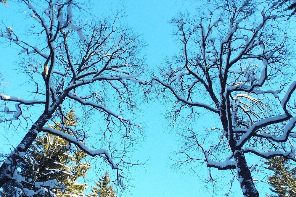 Photograph by Ирина Кузьмина