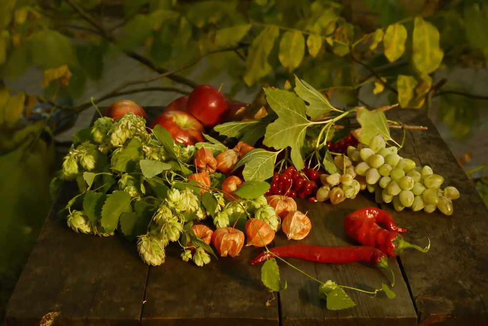Фотография автора Медведев Сергей