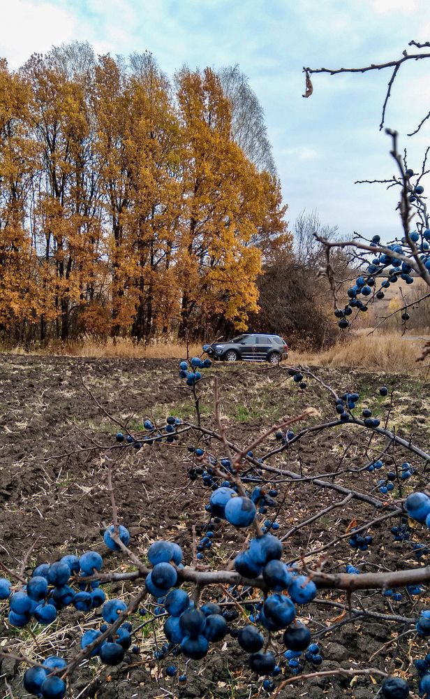 Photograph by Андрей Букин