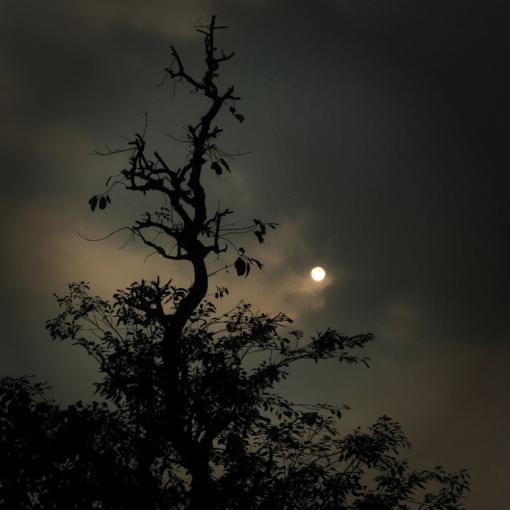 Photograph by Kezang