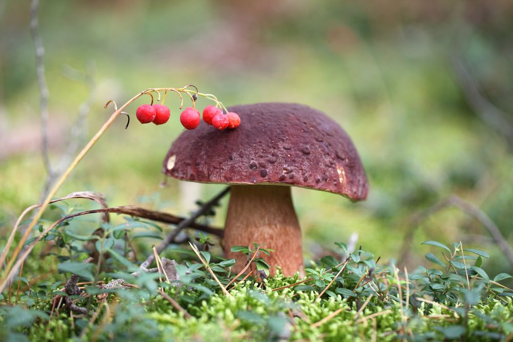 Тихая охота...