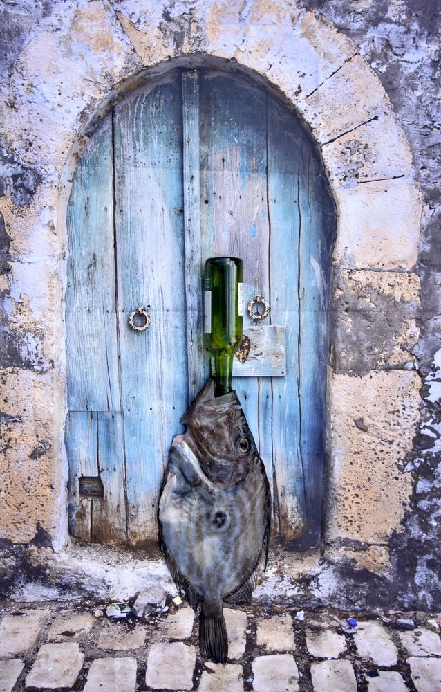 Фотография автора Regina Belomytseva-Dahan