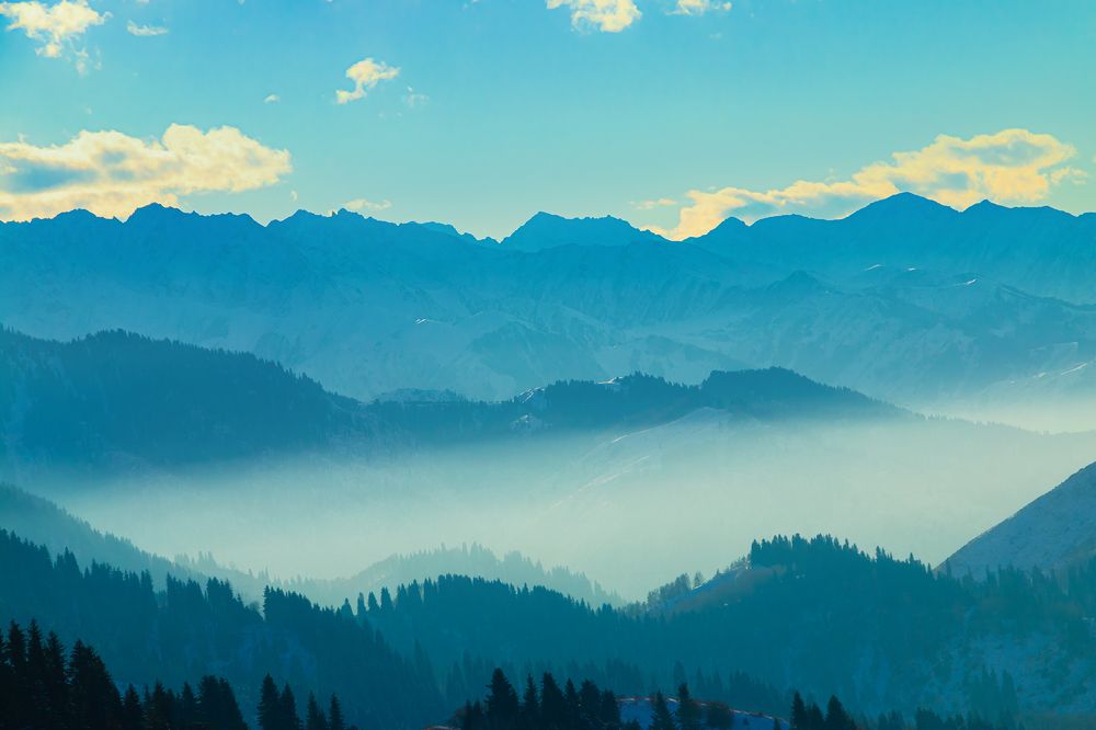 Фотография автора Владимир Душанц