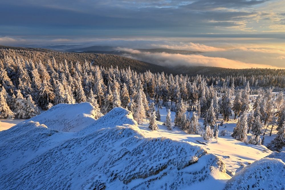 Photograph by Andrea Šrotová