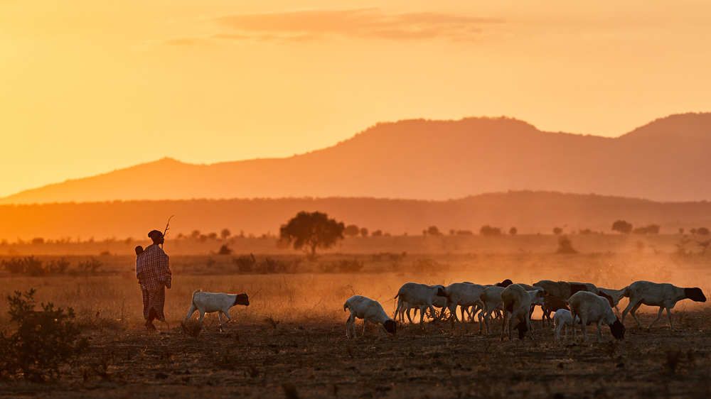 Будни Танзании