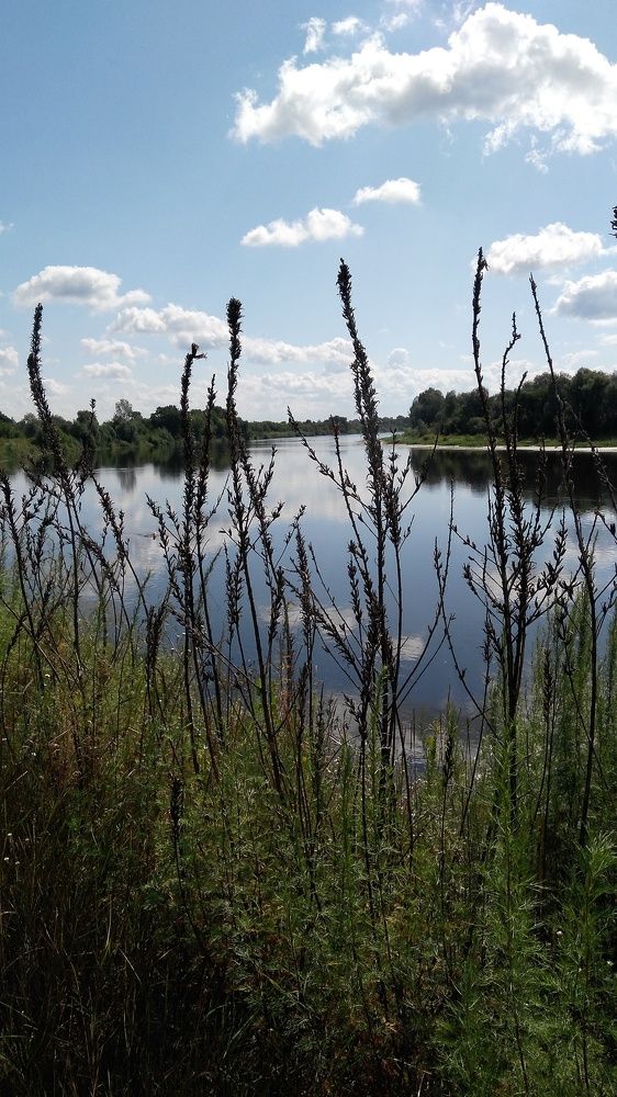 Photo #5832844