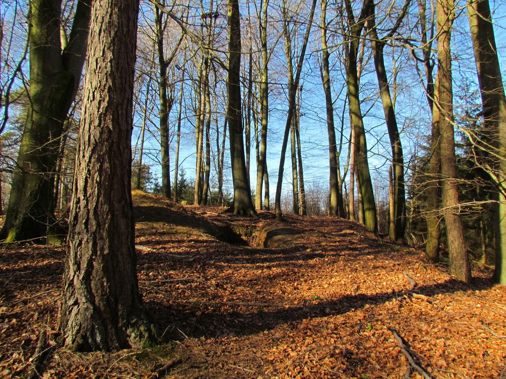 Photograph by Viktor Dikmann