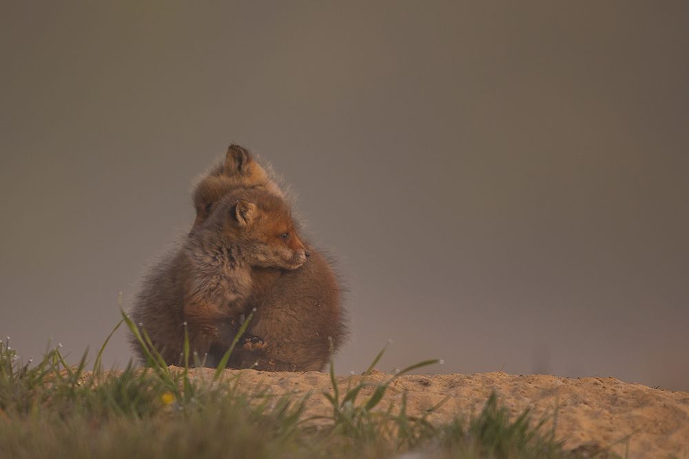 Photograph by Wieńczysław Rak