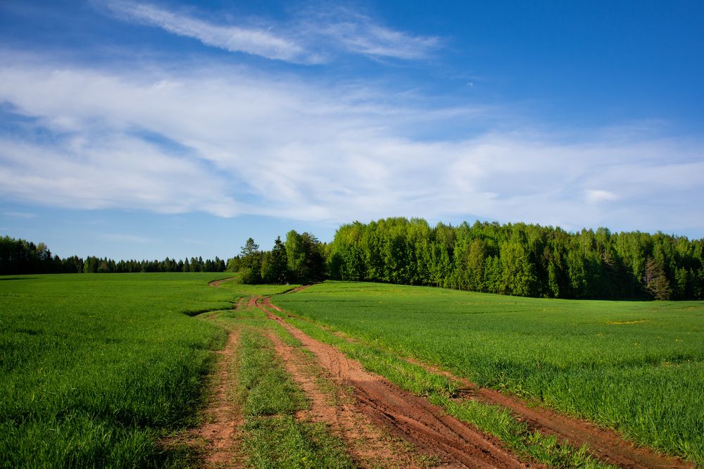Фотография автора Наталья Соколова