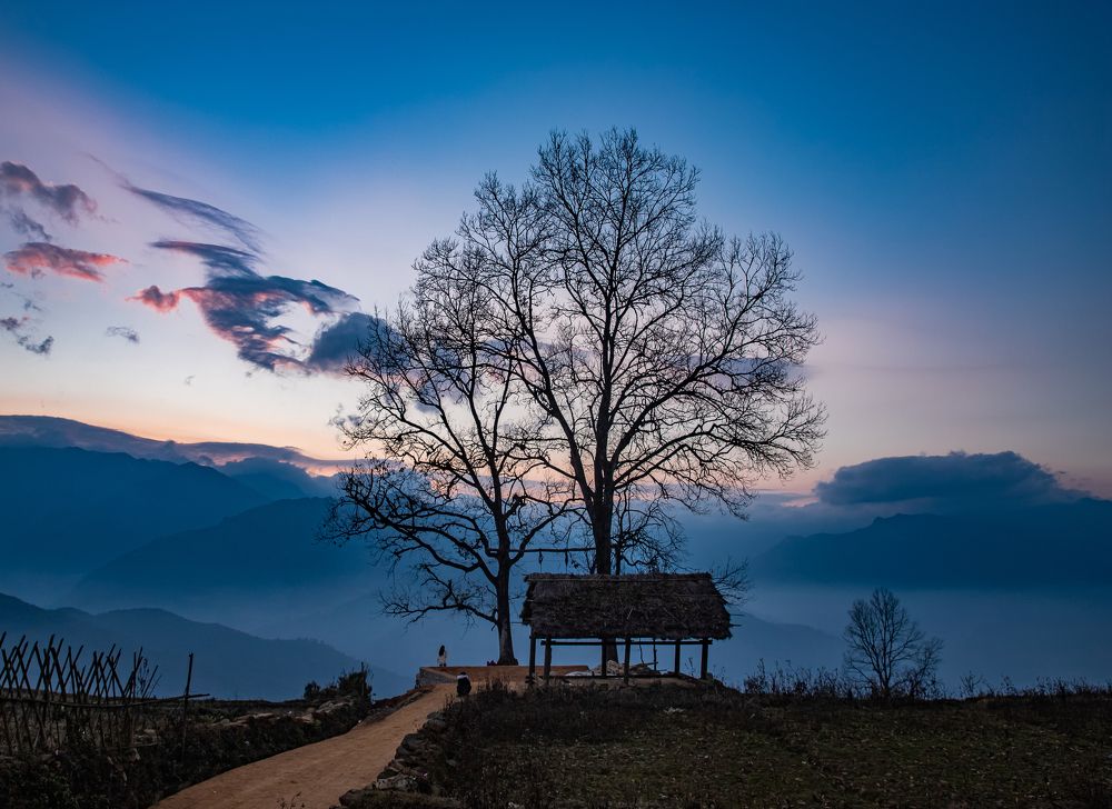 Photograph by Kevin Nguyen